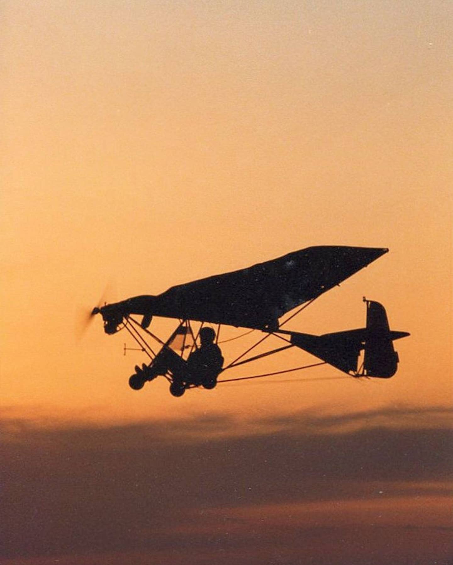 Weedhopper-at-Sundown-scaled.jpg