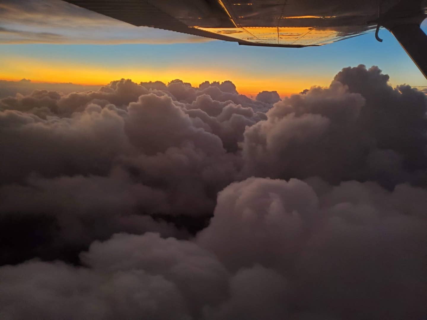 Back-Home-to-Houston.jpg