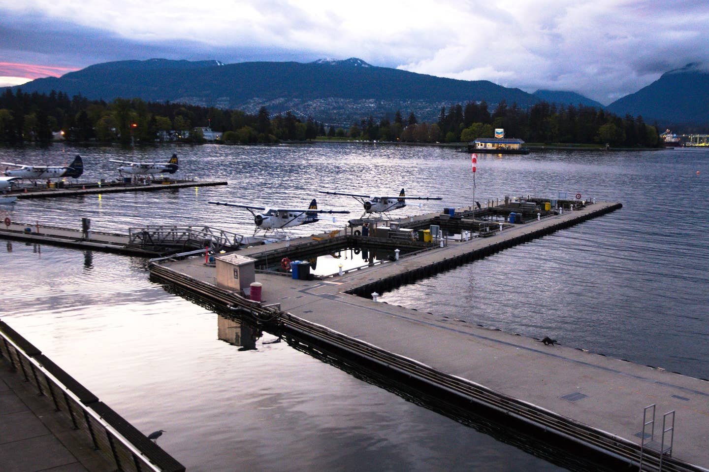 Harbor-Air-Sunset.jpg