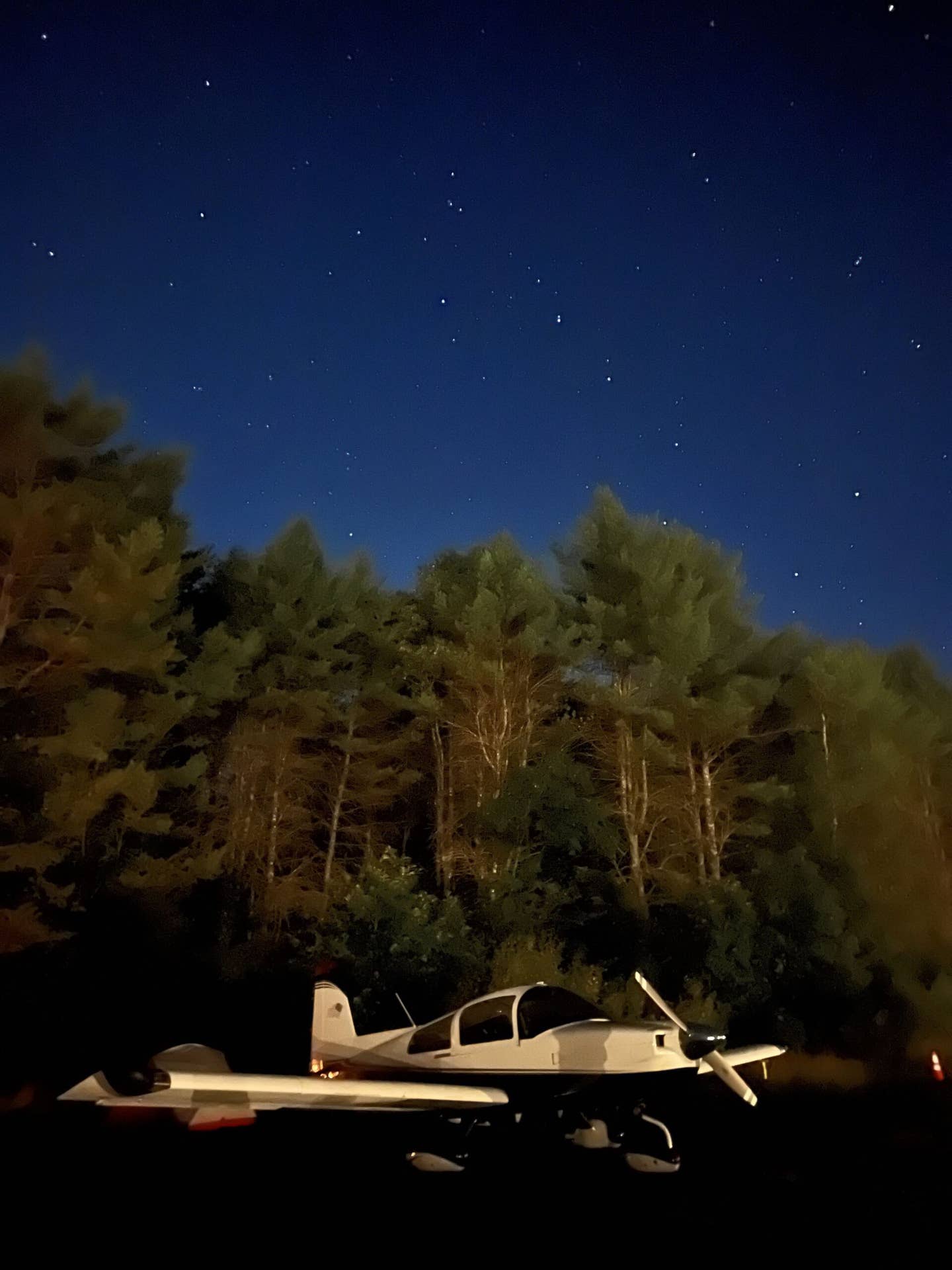 Tiger-at-Night-scaled.jpg