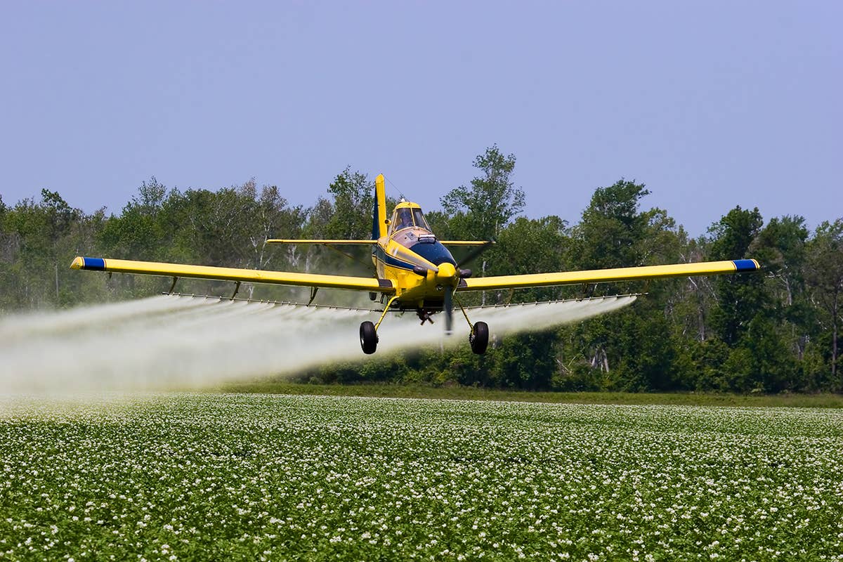 Air-Tractor-402A.jpg