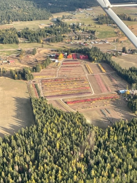 Fall-Colors-in-North-Idaho.png