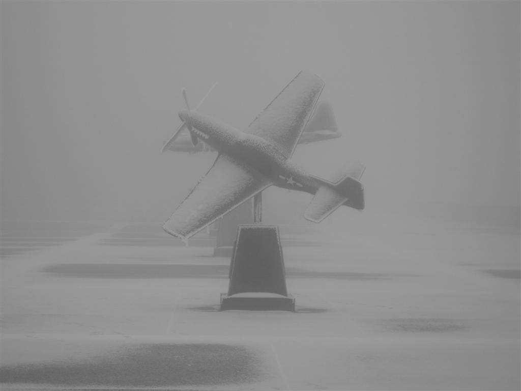 Mustang-Morning.jpg