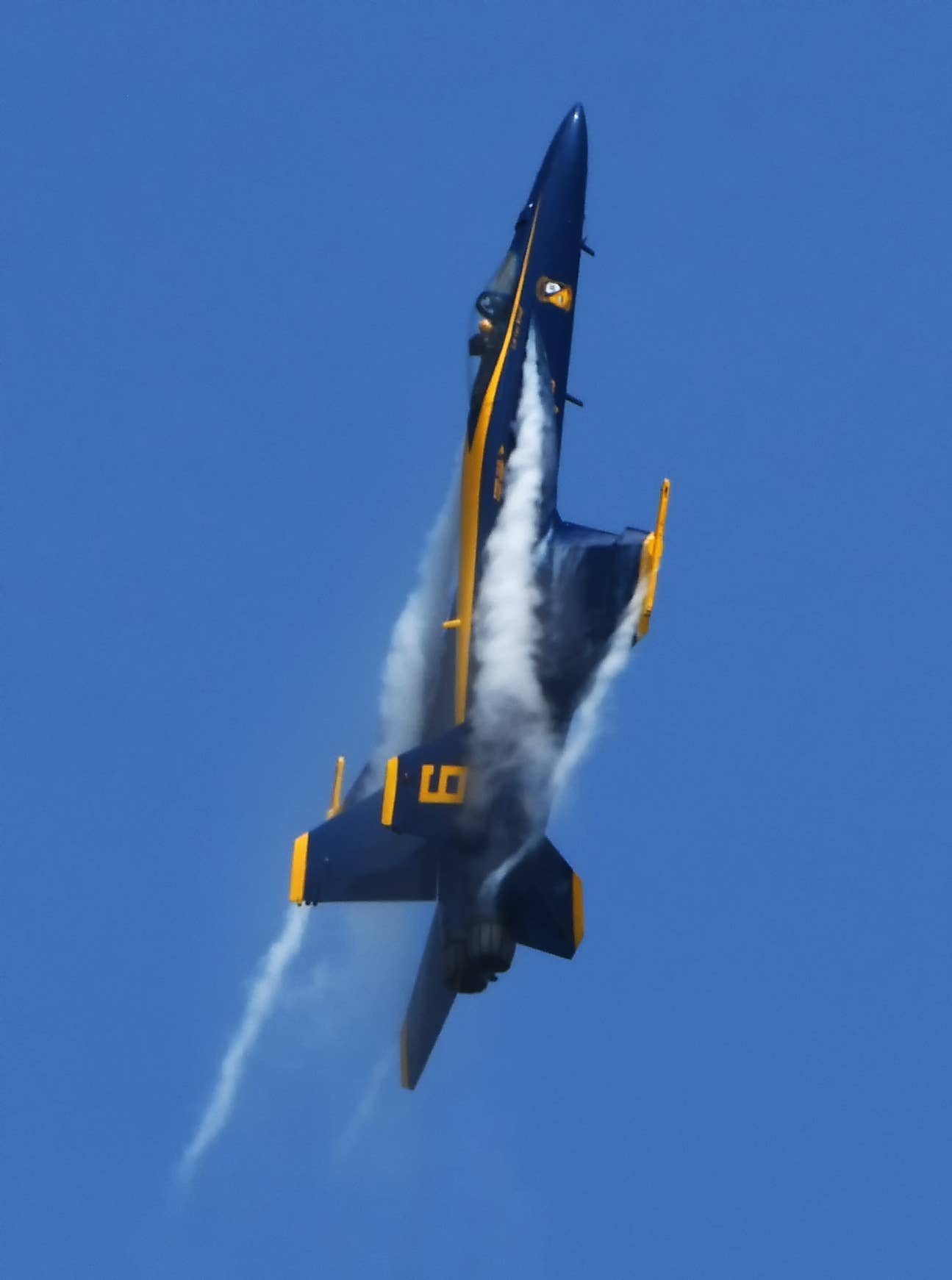 Blue-Angel-Climbing.jpg
