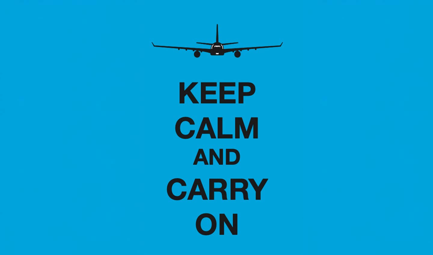 pilot panic