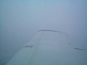 Iced Wing