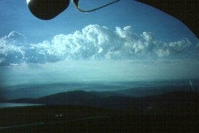 Nice little cu